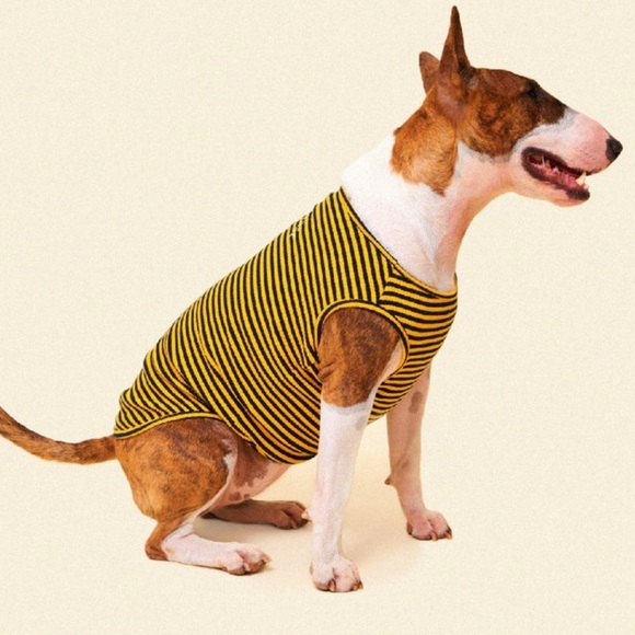 LITTLE BEAST 'Two Peas’ Sleeveless Dog Shirt Pink Green Ribbed Size XL - Picture 2 of 12